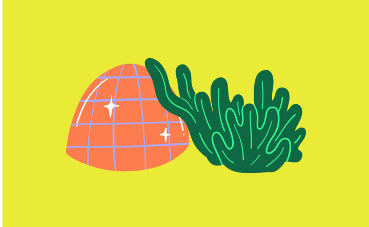 Illustrative Grafik mit Meerespflanzen